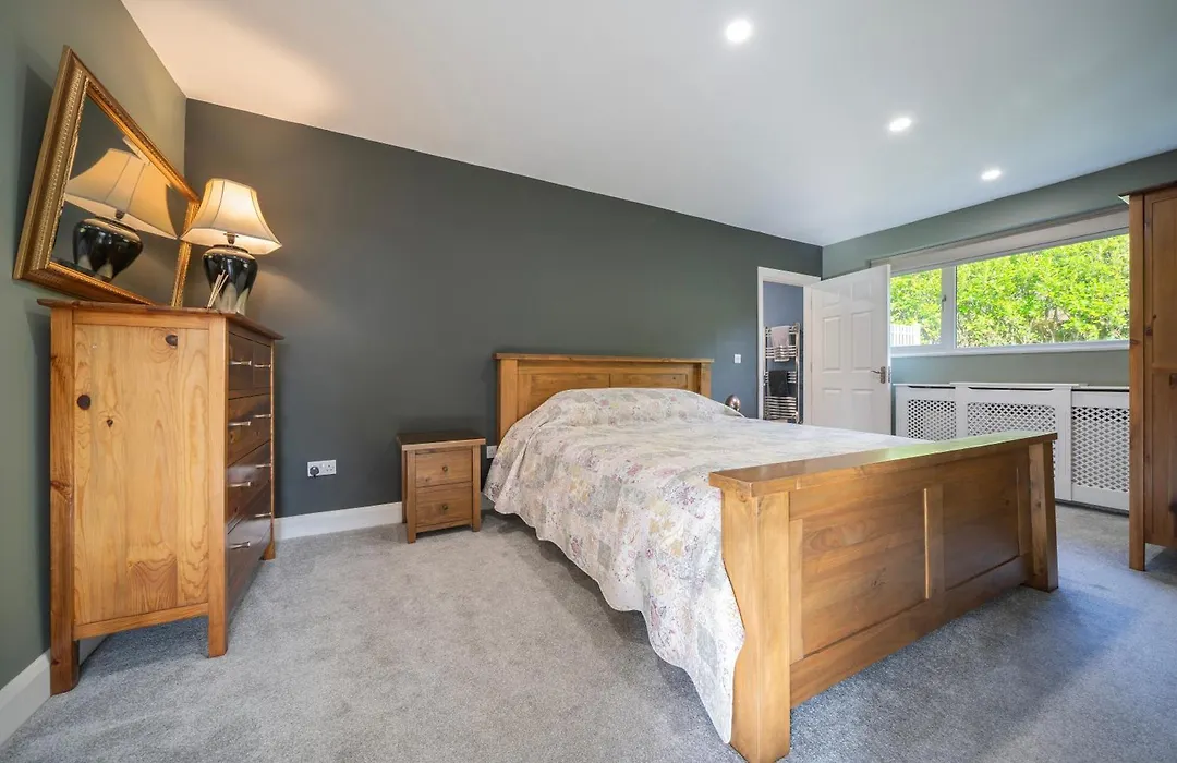 The Bird House - Coastal Lodge In Lovely Forest Setting Nr. Kinsale-1