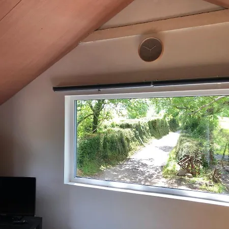 Lucy'S Loft-2